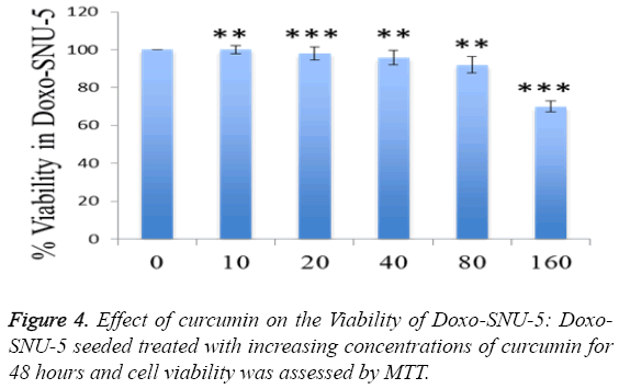 biomedres-viability-assessed-MTT