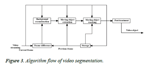 biomedres-video-segmentation