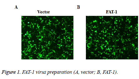 biomedres-virus-preparation