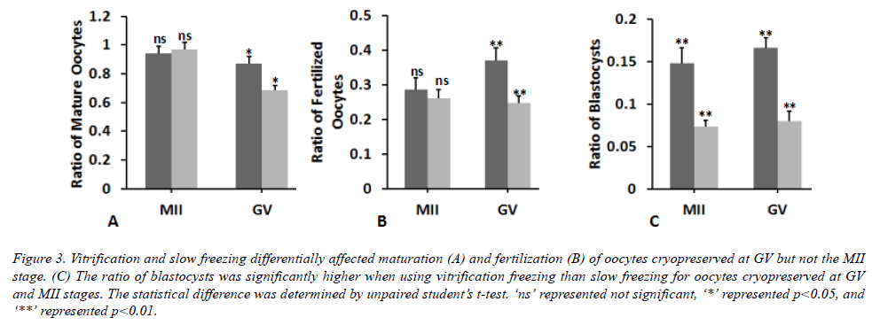 biomedres-vitrification-freezing