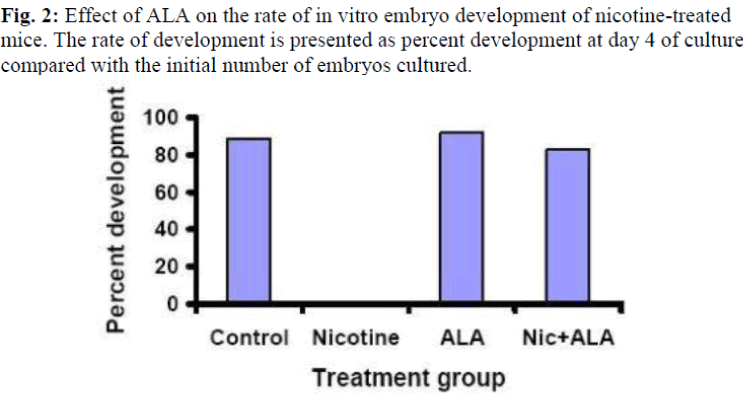 biomedres-vitro-embryo