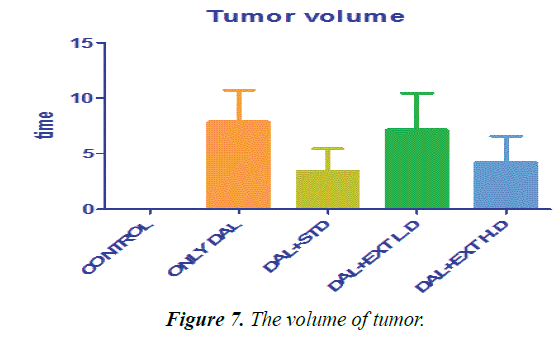 biomedres-volume-tumor