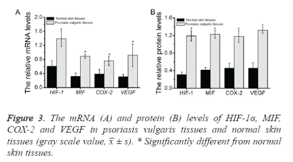 biomedres-vulgaris-tissues