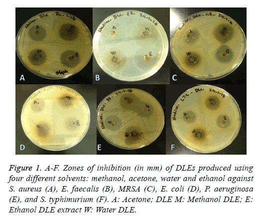 biomedres-water-ethanol