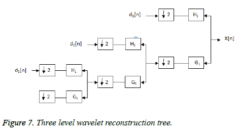 biomedres-wavelet-tree