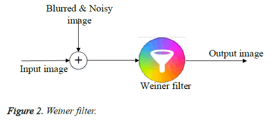 biomedres-weiner-filter