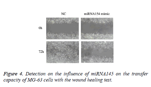 biomedres-wound-healing