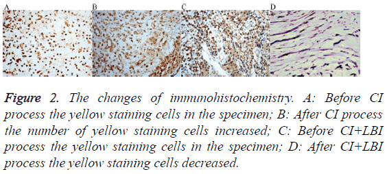 biomedres-yellow-staining-cells