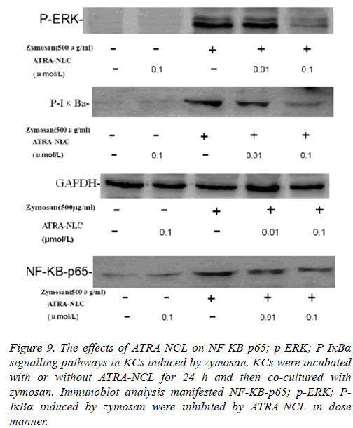 biomedres-zymosan-manner